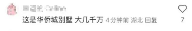 甜家里的10个好货！AG真人扒一扒黄杨钿(图9)