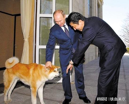 见安倍晋三的遗孀？2个不同寻常的原因！AG真人平台app敏感时期普京为何接(图6)